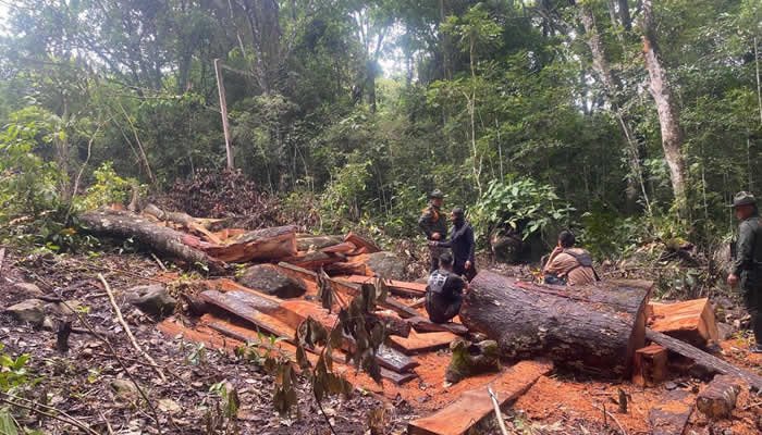 El Huila y sus infracciones ambientales más comunes