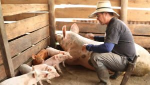 Productores del sur del Huila y su apuesta medioambiental