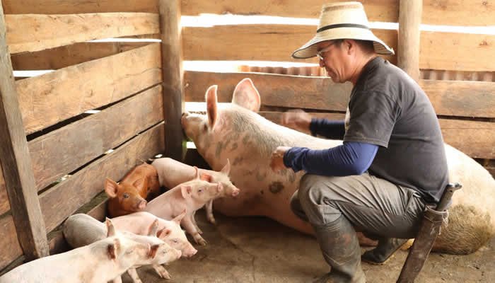 Productores del sur del Huila y su apuesta medioambiental