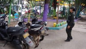 Carabineros desarrollan labores de seguridad en Neiva