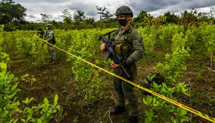 Primeros municipios en donde se utilizará el glifosato