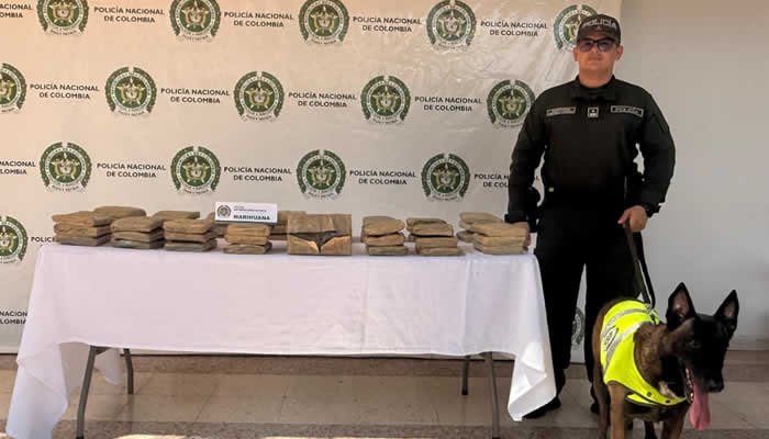 Incautación de droga en el sur de Neiva