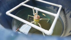 Sector cafetero y su apuesta por los filtros verdes