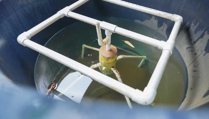 Sector cafetero y su apuesta por los filtros verdes