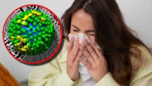 Gripas estacionales ya circulan en Colombia