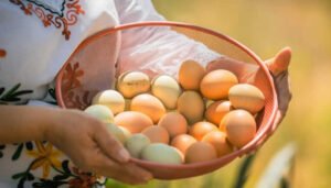 Huevo colombiano llegará a Estados Unidos