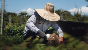 Restauración ecológica en El Quimbo cumple una década