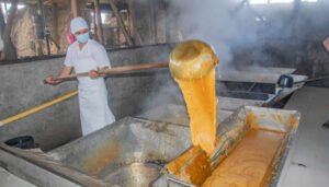 Importante impulso al sector panelero