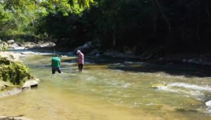 Los trámites ambientales en el Huila en el 2025