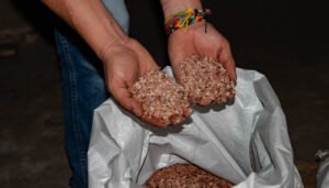 Importante proyecto de suelos para el sector cafetero