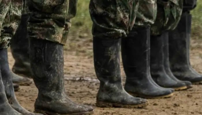 Enfrentamientos entre actores ilegales en el Guaviare