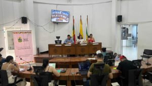 Primeras decisiones del Consejo de Juventudes para 2026