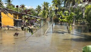 Más de 7.000 evacuados en Córdoba por las lluvias