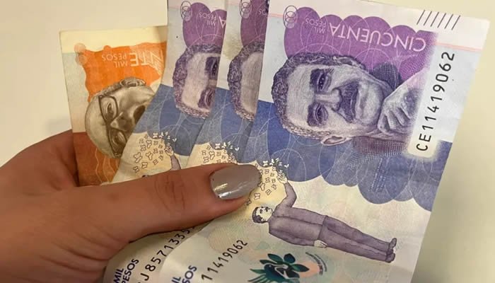 Universidad advierte aumento de matrículas en el sector