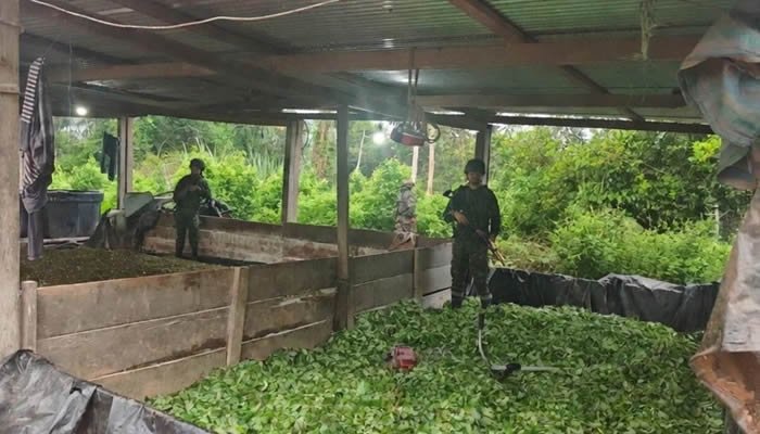 Destruidos laboratorios de coca en el Putumayo