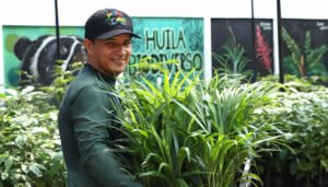 Entregadas plántulas ornamentales para el Domingo de Ramos