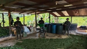 Destruidos laboratorios de coca en el Putumayo