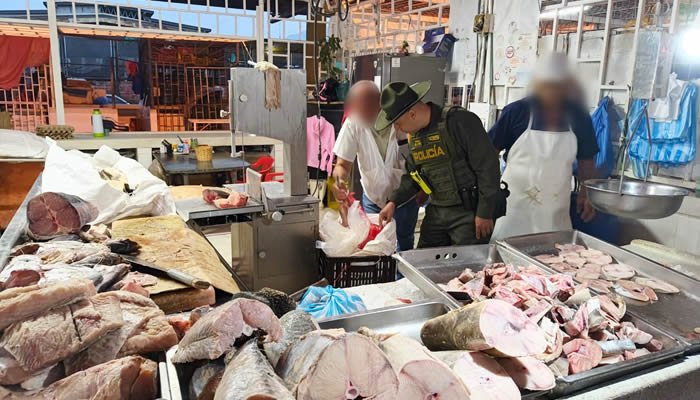 Importante incautación de pescado en Neiva