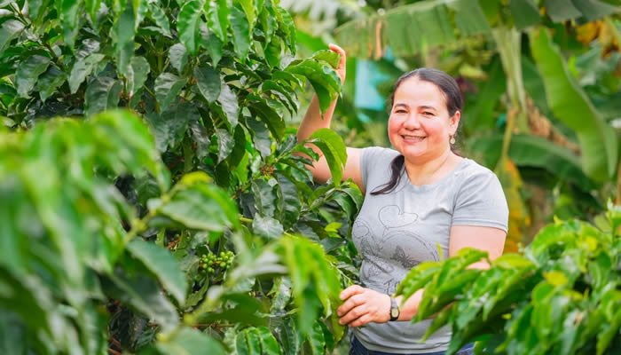 Proyecto ambiental para familias ganaderas y cafeteras del Huila