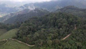 Restauración del Corredor Andino Amazónico