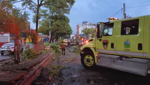 Balance de las emergencias por fuertes lluvias y vientos en Neiva