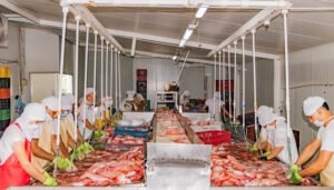 Huila y su importancia piscícola en Semana Santa