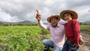 Huila le va ganando el pulso a la pobreza