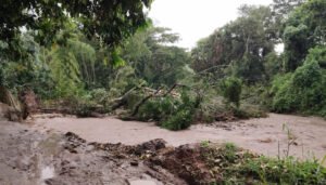 Emergencia por lluvias en cuatro municipios del Huila