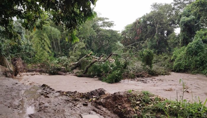Emergencia por lluvias en cuatro municipios del Huila