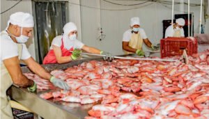 Huila se alista para congreso internacional de acuicultura