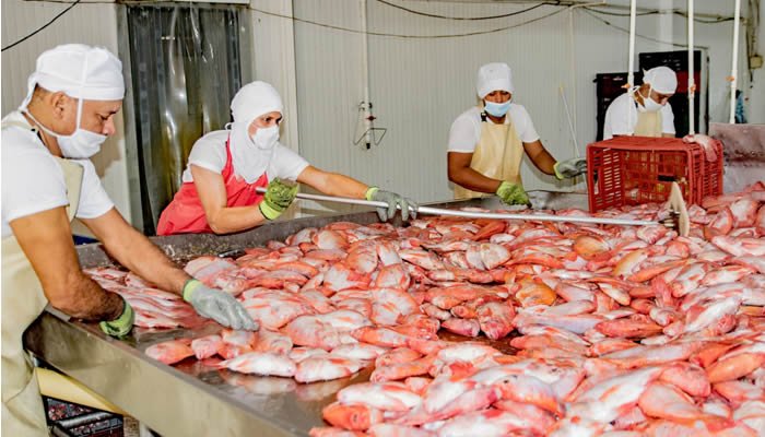 Huila se alista para congreso internacional de acuicultura