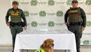 Incautaciones de droga en Neiva