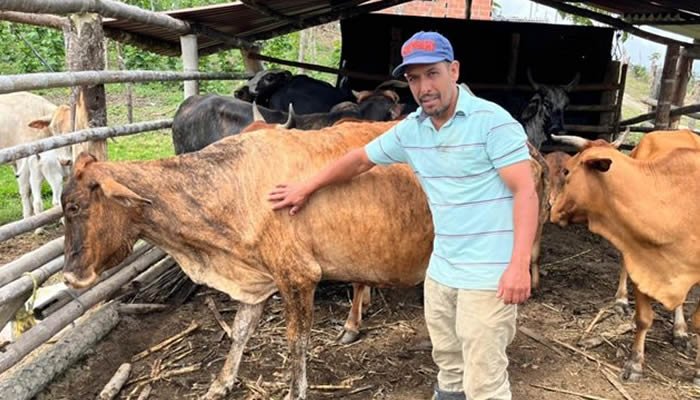 Comienza primer ciclo de vacunación contra la aftosa