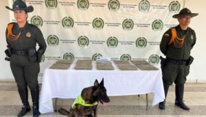 Incautada sustancia ilícita en el sur de Neiva