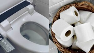 Medida revolucionaria de higiene personal, ¿adiós al papel higiénico?