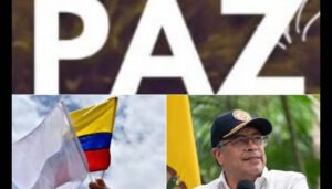 Autorizan llegada de actores armados a zonas de ubicación temporal