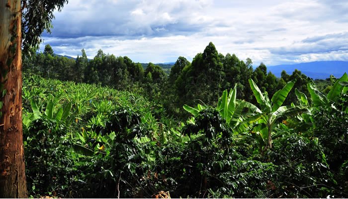 Gobernación presente en construcción de políticas para el agro