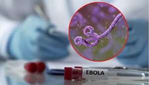 Más de 200 posibles muertes por ébola en África