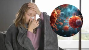 Un nuevo virus en escena: el hantavirus