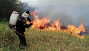Ideam: más de 200 municipios, vulnerables ante los incendios