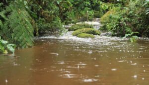 CAM y el llamado a los municipios por el buen uso del agua