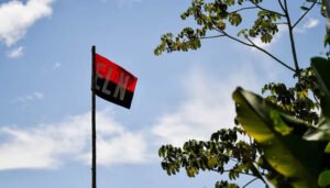 Alto al fuego del ELN de cara a la segunda vuelta electoral
