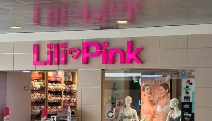 Más avances en el caso Lili Pink