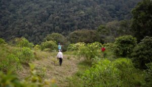 Familias huilenses y su apuesta por el Macizo Colombiano