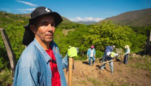 En marcha instrumentos  para mitigar el fenómeno de El Niño en el agro