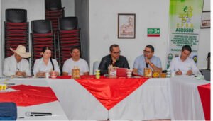 Esfuerzos para combatir la falsificación de panela