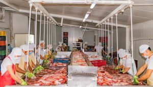 Huila, el número uno en producción piscícola