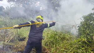 Controlado incendio en el sur de la ciudad