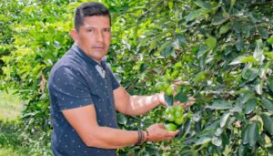 Limón orgánico del Huila gana espacio en Europa