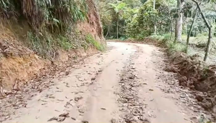 Exigencia a ENEL para agilizar obras de la vía El Agrado – El Carmen – Paicol